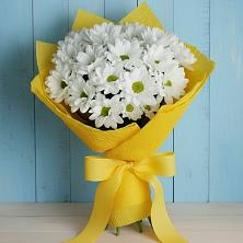 Букет цветов из:  Хризантемы в Новопокровское 