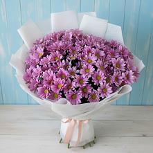 Букет цветов из:  Хризантемы в Новопокровское 