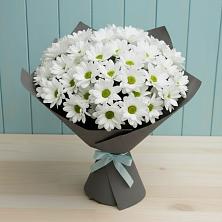 Букет цветов из:  Хризантемы в Новопокровское 