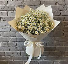 Букет цветов из:  Ромашки #REPLACE_PRED# Новопокровское 