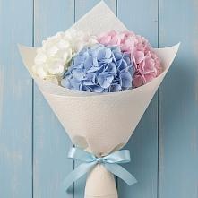 Букет цветов из:  Гортензия в Новопокровское 