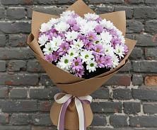 Букет цветов из:  Хризантемы в Новопокровское 