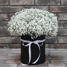 Цветочная композиция из Гипсофила в шляпной коробке в Новопокровское 