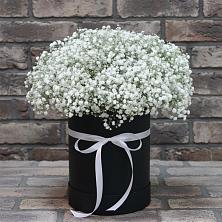 Цветочная композиция из Гипсофила в шляпной коробке в Новопокровское 