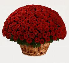 Премиум букет из: Розы в Новопокровское 